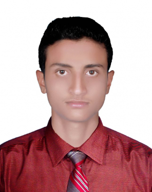 মোঃ ফয়সাল মিয়া