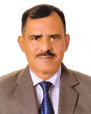 মোঃ নুরুল আমীন